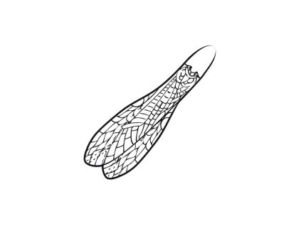 Pro Adult Stonefly Wings (Farba N/A, Veľkosť XXS)