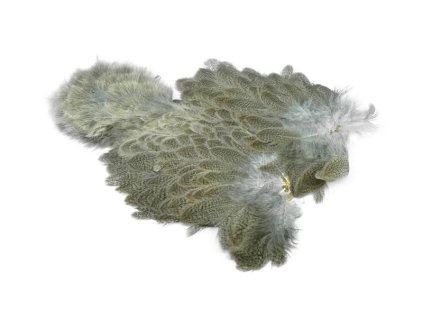 Brahma Hen SH/C (Farba Black)