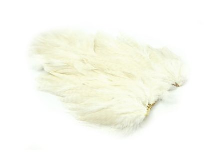 American Hen SH/C (Farba Grizzly)