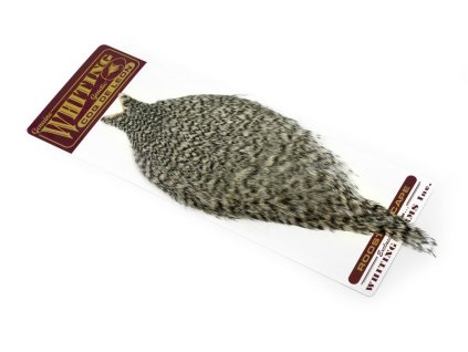 Coq de Leon Rooster Cape (Farba Grizzly)