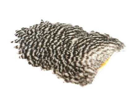 4 B's Hen Saddle (Farba Grizzly)