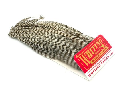 Whiting Bugger Pack (Farba Grizzly)