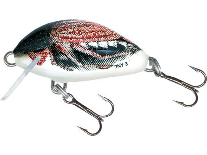tiny qit001