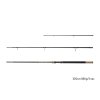 Delphin RIVER Trophy NXT +4 špičky (Variant Delphin RIVER Trophy NXT +4 špičky 300cm/160g/3 diely)