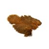 Brahma Hen SH/C (Farba Black)