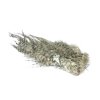 Bird Fur (Farba Grizzly)