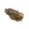 Mini Bird Fur (Farba Grizzly)