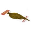 Whiting Rooster Cape (Farba Grizzly)