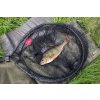 Fox Rage Fighter Landing Nets (Variant Fox Rage 2.4m Carbon Street Net)