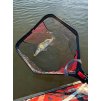 Fox Rage Speedflow Folding Landing Nets (Variant Speed Flow Folding Net - Medium)