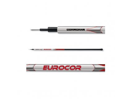 cormoran eurocor bic