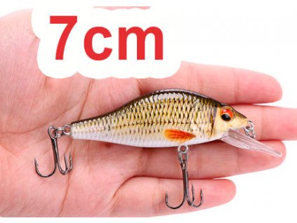 kapřík7cm