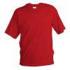 T61 RED
