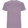 CA6681 268 2 1