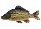 Polštáře - Plyšové ryby