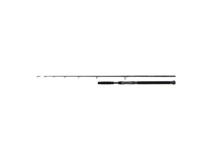 Shimano Sumcový Prut Beastmaster AX Catfish Spinning Vertical 1,85 m 200 g