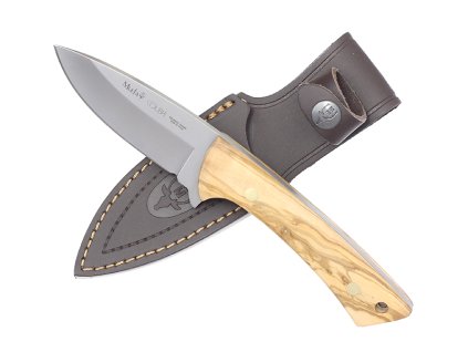 {6BE6A91F C530 4E06 A34E A2EC3FCFB8BF} V