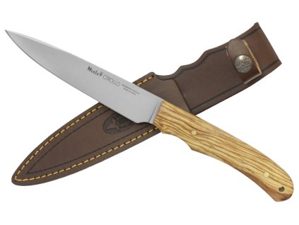 {6AC6E859 FC23 42F7 A3CC 4A7E6612DFCF} V