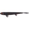 twinteeez pelagic v tail 20 cm black mamba