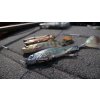 savage gear gumova nastraha 3d herring shad v2 bream (2)