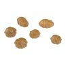 cac930 fox tiger nuts group 2