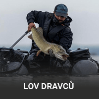 Lov dravců