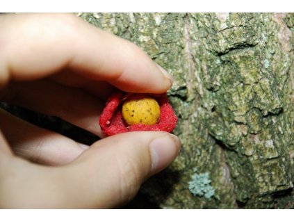 LK BAITS BOILIE PASTE 250G MUSSEL
