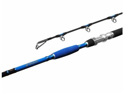 Prut Delphin HAZARD 310cm/500g