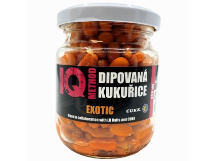 DIPOVANÁ KUKUŘICE EXOTIC