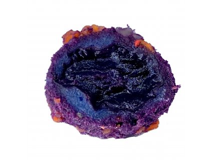 RAISIN PLUM