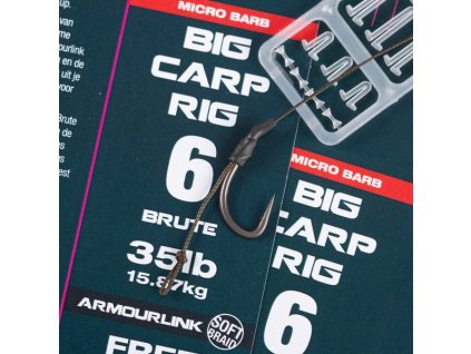 Big Carp Rig Micro Barbed 2