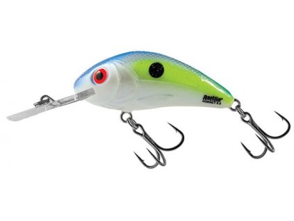 Sexy Shad salmo