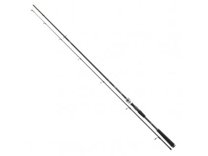 Prut Daiwa Exceler Spin 2