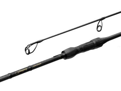 Prut Delphin StingRAY 300cm