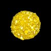 FISH ACTIV PLUS WORLD RECORD CORN