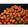 BOILIES MIX 3 KG 3
