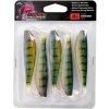 zander pro stikleback