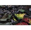 Prut Sonik DominatorX RS 3,0m 13