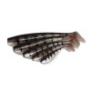 Fox Rage Zander Pro Shads Glitter Perch 2