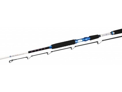 Prut - NORWAY QUEST SHAD SPIN 245 / 60-180 g