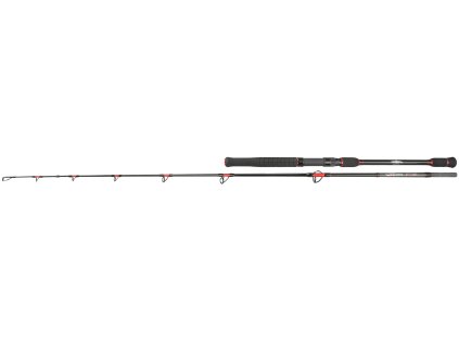 PRUT - CATONE ALBINO SPIN & TROLL 220 c.w. 50-200g (2 sec.) - 1 ks MIKADO