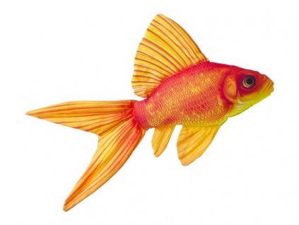 Zlatá rybka pro štěstí - 60 cm polštářek