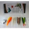 SET - Saira 8cm - 12ks / 6g jig 3ks