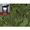 vlocky spirulina 1000g