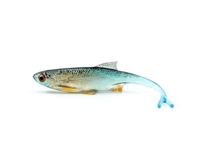 ANGRY Lures Bleak V-Tail 11,5 cm NBO  realistická gumená nástraha na boleňa, šťuku alebo zubáča