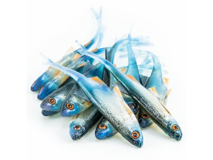 ANGRY Bleak V-Tail 11,5 NBO