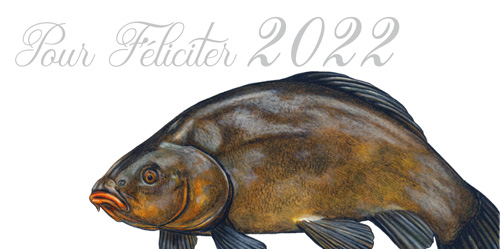 Do nového roku s novými rybími i rybářskými plány