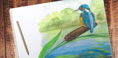 Rybářský zápisník, cesta za poznáním