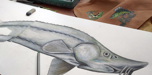 Odpoledne s jeseterem