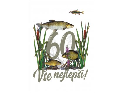 a5 dnorybnika60